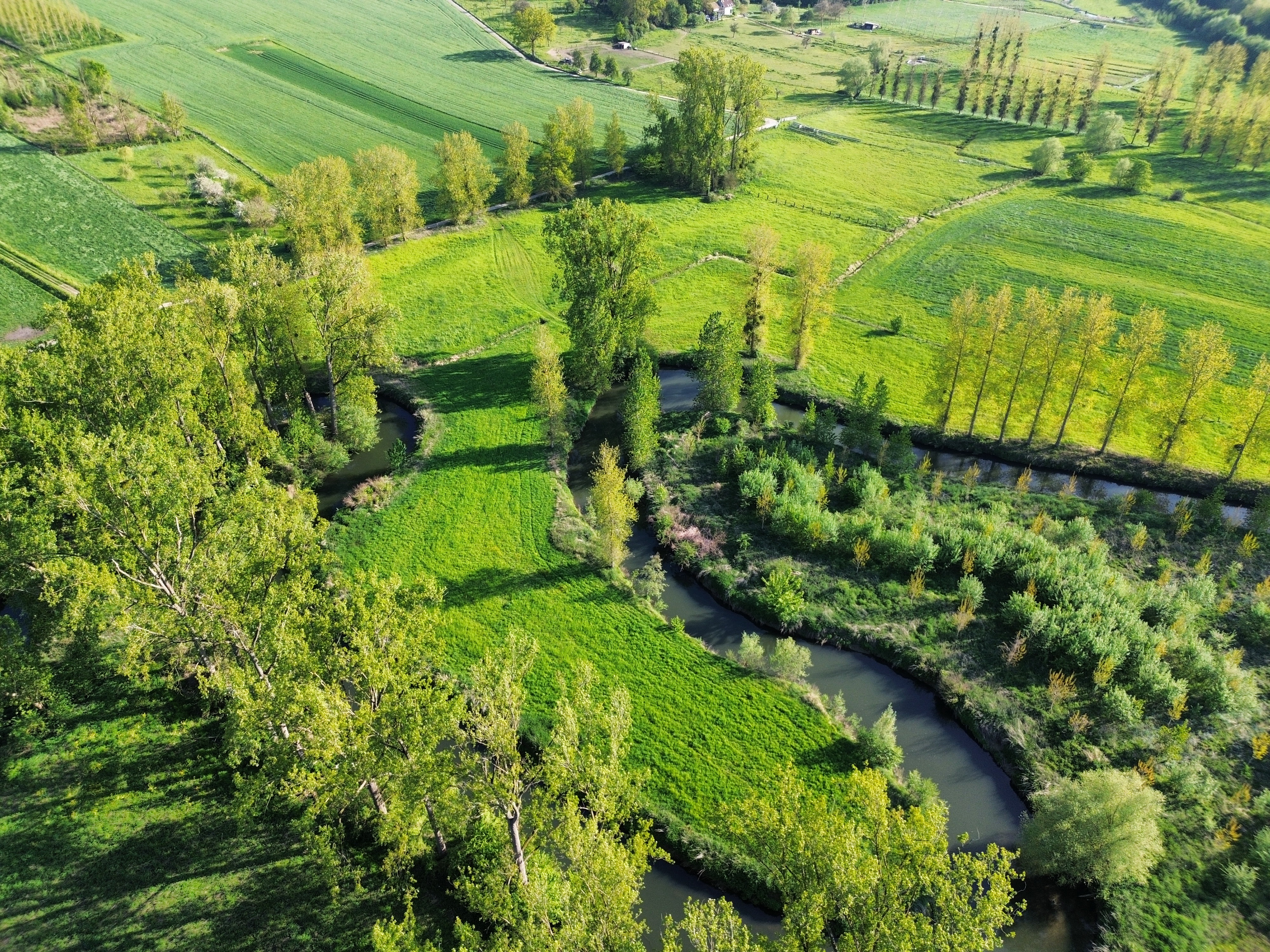 Landscape view in the Beersel study area.