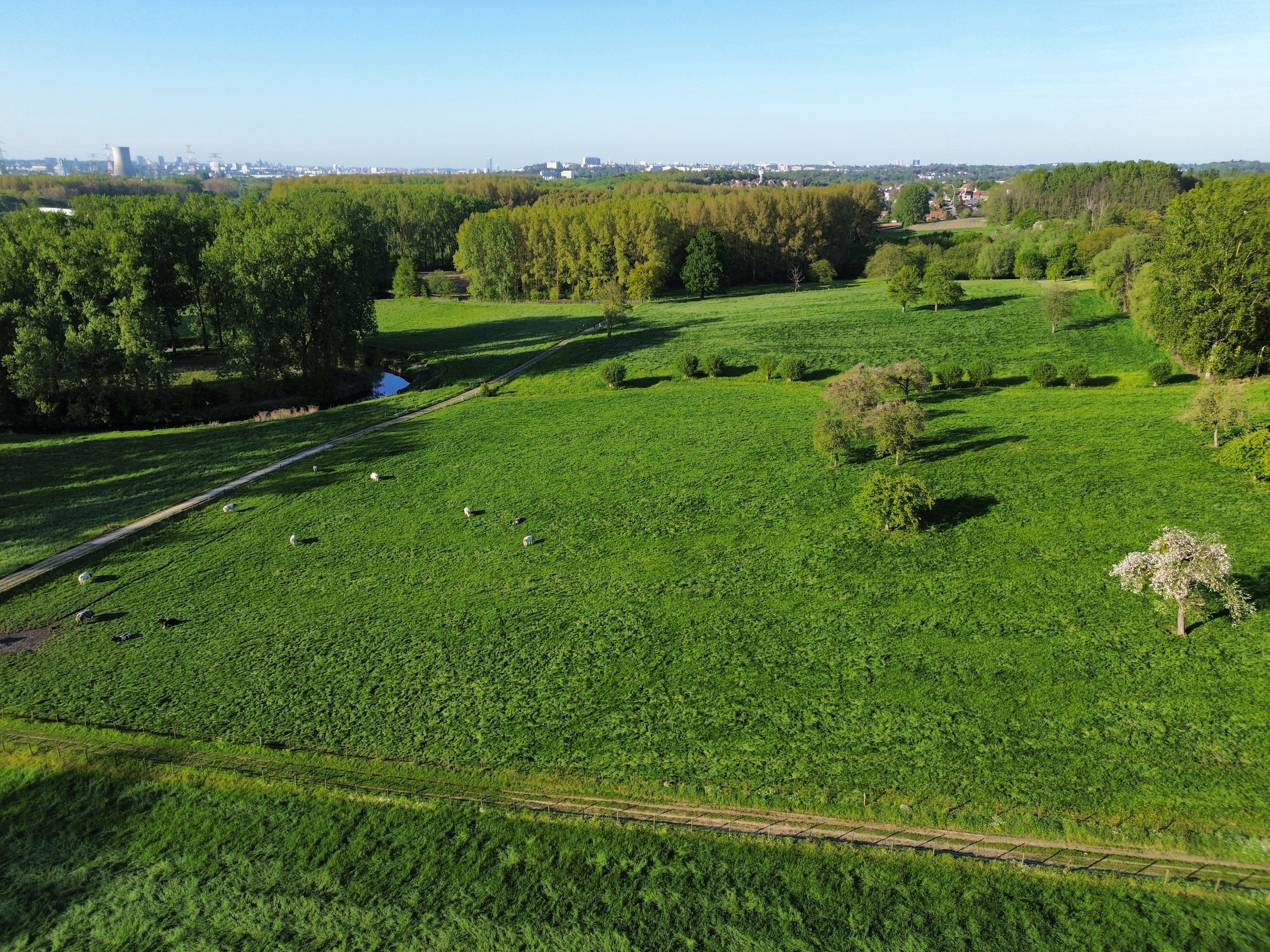 Landscape view in the Beersel study area.
